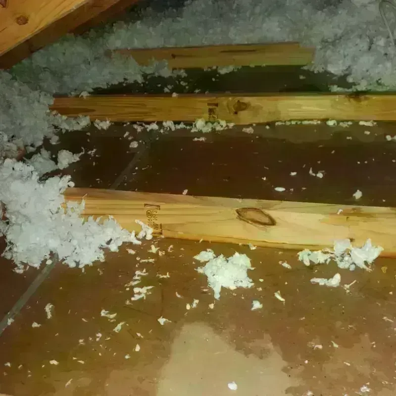 Attic Water Damage in Gibsonton, FL