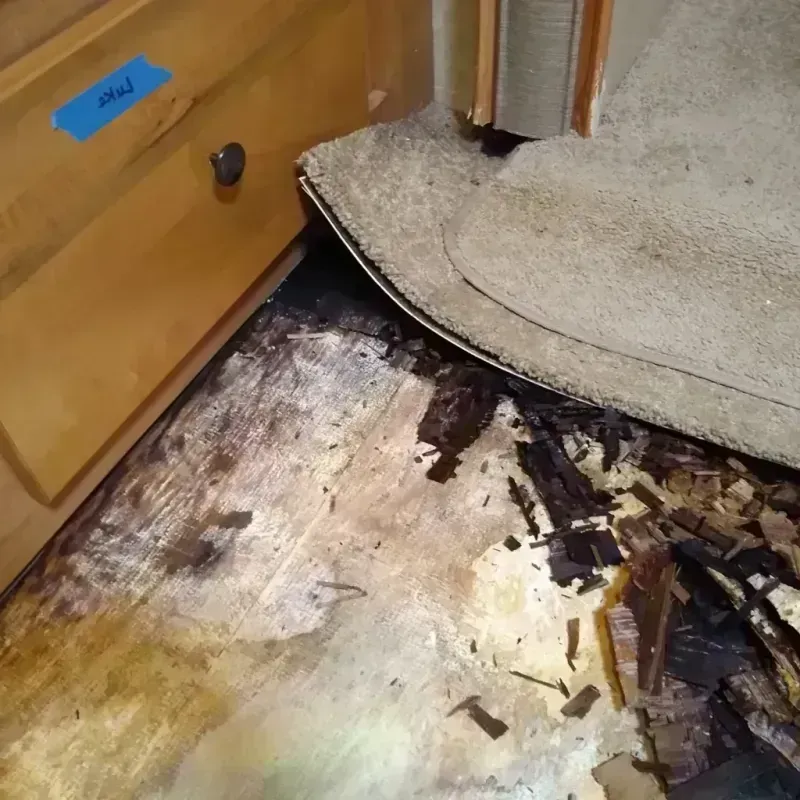 Best Wood Floor Water Damage Service in Gibsonton, FL